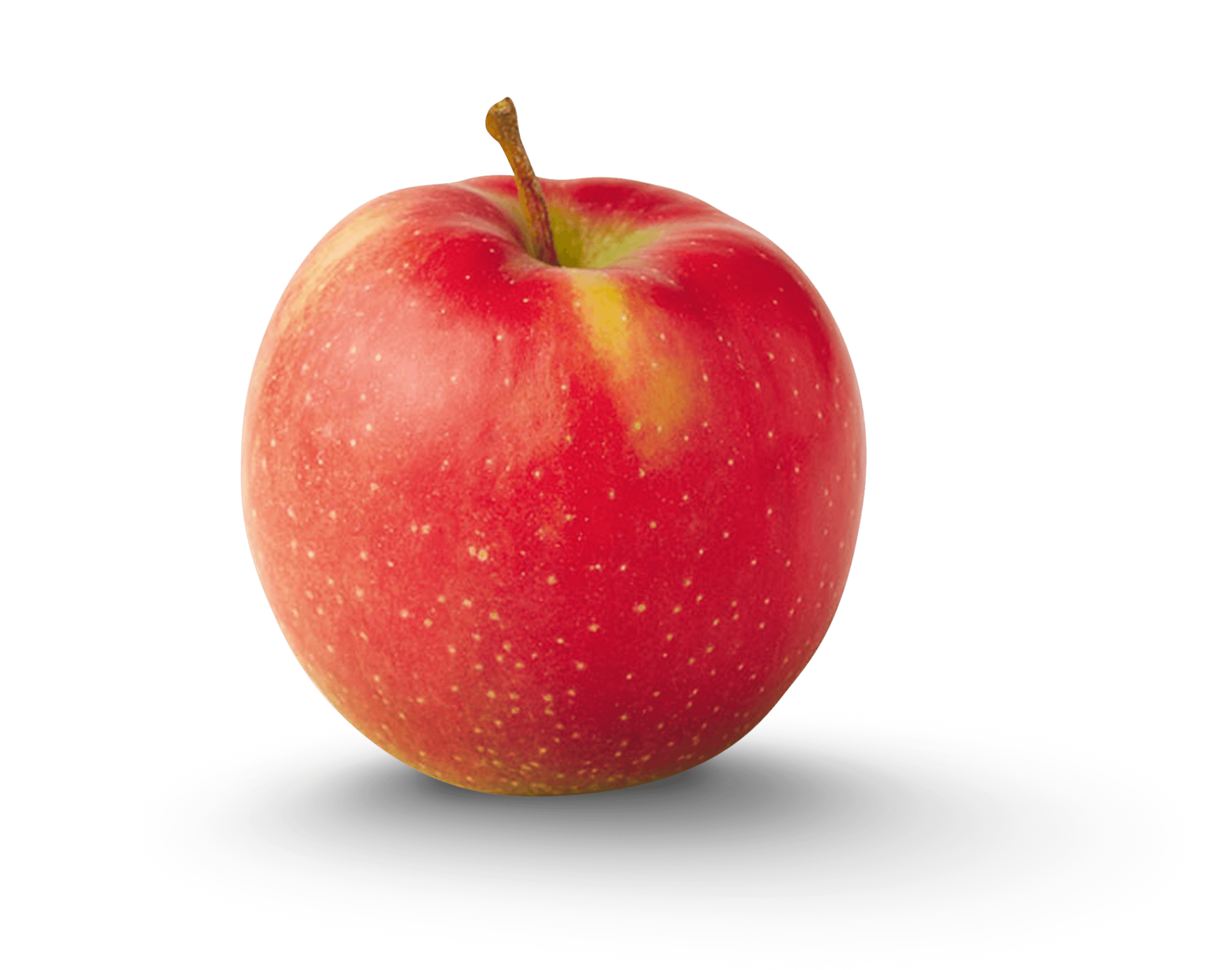 apple_img